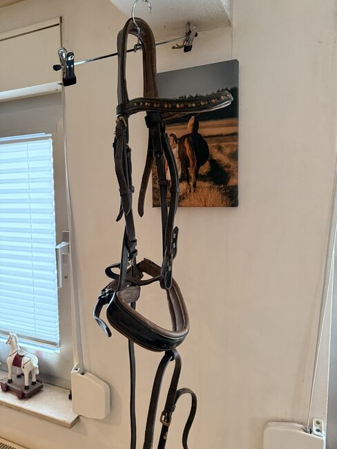 Warmblut Trense Schwarz /Braun, Franziska Aniolek, Ogłowia, Frankfurt am Main