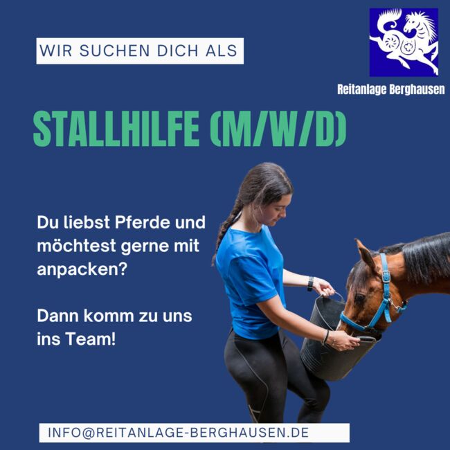 Wir suchen DICH als Reitlehrer, Stallhelfer oder Betreuer (m/w/d) - auf der Reitanlage Berghausen, Julia Wohlschiess, Job Offers, Berghausen, Image 3