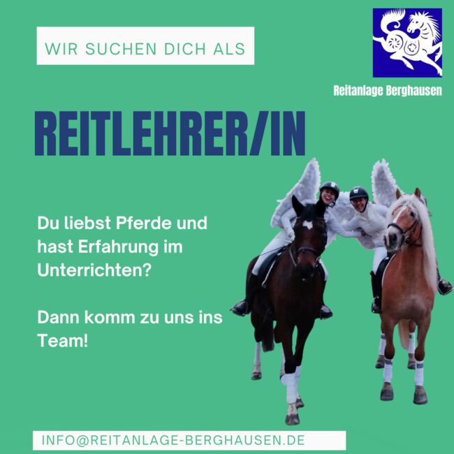 Wir suchen DICH als Reitlehrer, Stallhelfer oder Betreuer (m/w/d) - auf der Reitanlage Berghausen, Julia Wohlschiess, Job Offers, Berghausen, Image 2