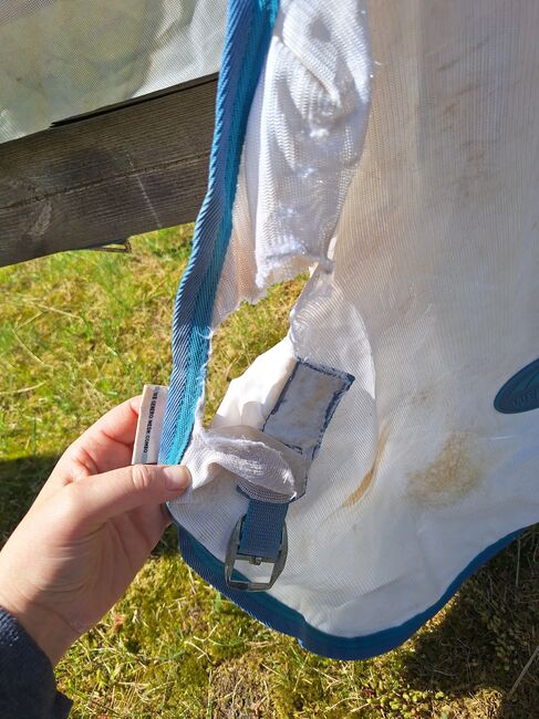 Weatherbeeta fliegen decke leider kaput, Weatherbeeta, Larissa gehrke , Fly & Insect Control, Soltau, Image 4