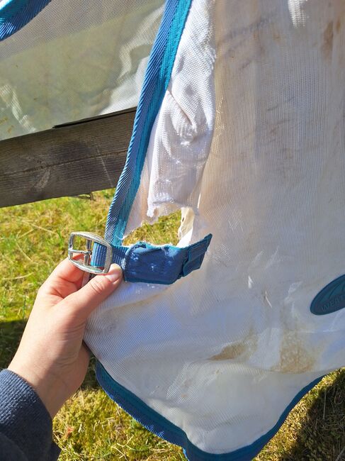 Weatherbeeta fliegen decke leider kaput, Weatherbeeta, Larissa gehrke , Fly & Insect Control, Soltau, Image 3