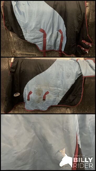 Weatherbeeta HW stable rug, Weatherbeeta , Philippa , Horse Blankets, Sheets & Coolers, Bishops stortford , Image 4