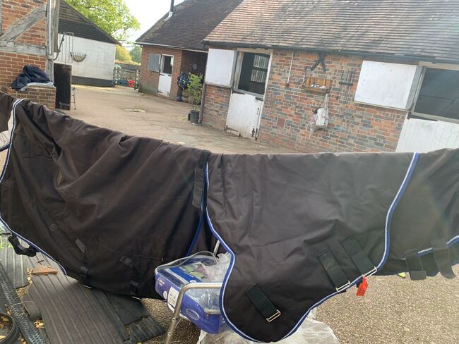 Weatherbeeta Ultra Cozi medium weight turnout, Weatherbeeta Ultra Cozi Medium turnout , Amelia Ward, Horse Blankets, Sheets & Coolers, Horsham, Image 3