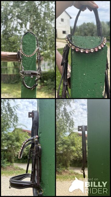 Trense Horsecode braun mit Lack, COB/ Vollblut, Stirnriemen Rosa, Horsecode, Lara , Ogłowia, Zolling, Image 6
