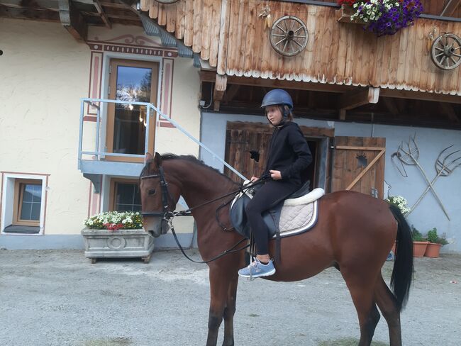 Ungarisches Sportpferd, Catharina , Konie na sprzedaż, Ellbögen, Image 2