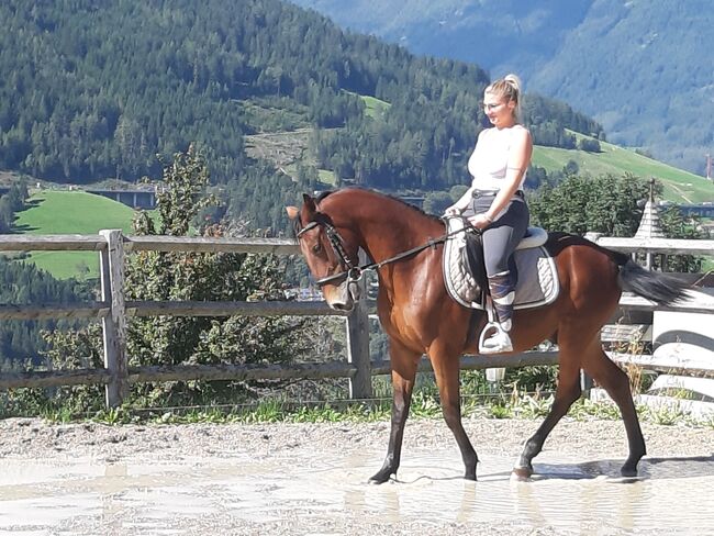 Ungarisches Sportpferd, Catharina , Konie na sprzedaż, Ellbögen, Image 8