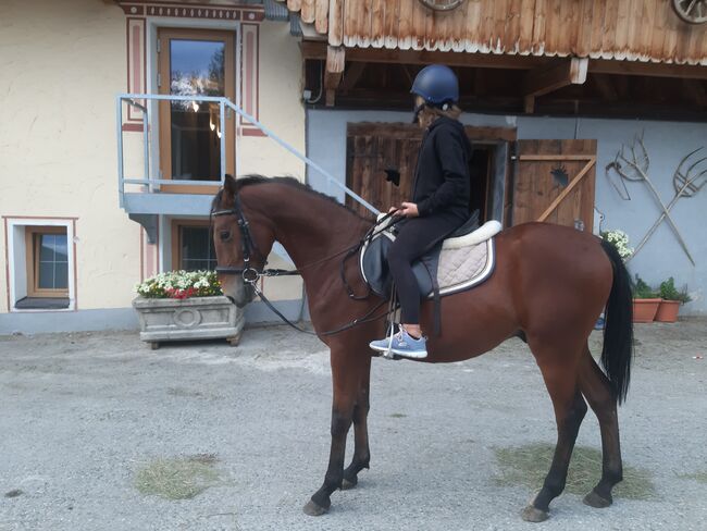 Ungarisches Sportpferd, Catharina , Konie na sprzedaż, Ellbögen, Image 7