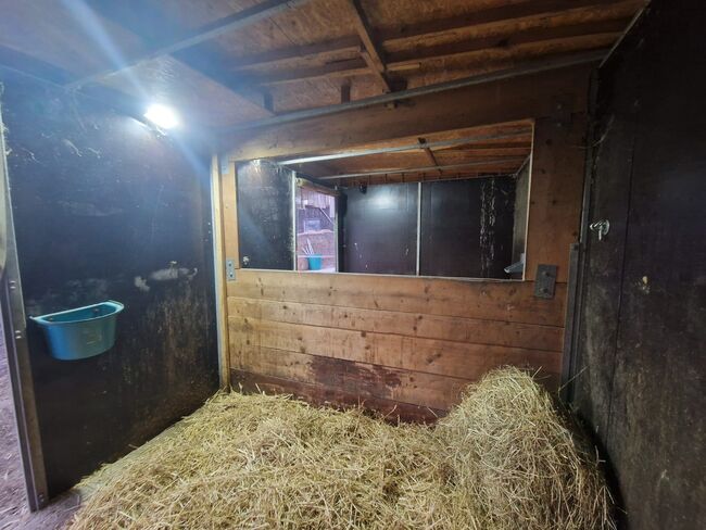 Weidehütte 6x3 m, Nadia , Tack Room & Stable Supplies, Bad Harzburg Bündheim/Schlewecke, Schlewecke, Image 7