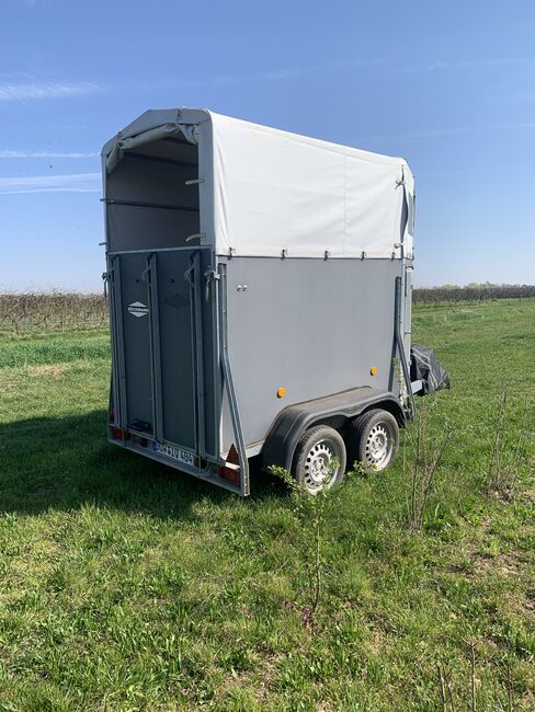Gepflegter Böckmann Solo, Böckmann Solo , Ariane, Horse Trailers, Bad Dürkheim , Image 4