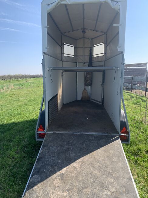 Gepflegter Böckmann Solo, Böckmann Solo , Ariane, Horse Trailers, Bad Dürkheim , Image 5