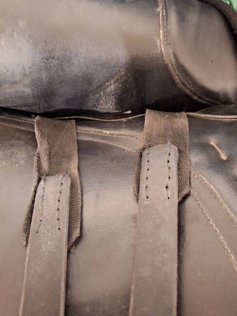 Gut erhaltenen und gepflegten Dressursattel Sommer Modell Magnus, Sommer  Magnus , F. Losch , Dressage Saddle, Norderstedt, Image 5