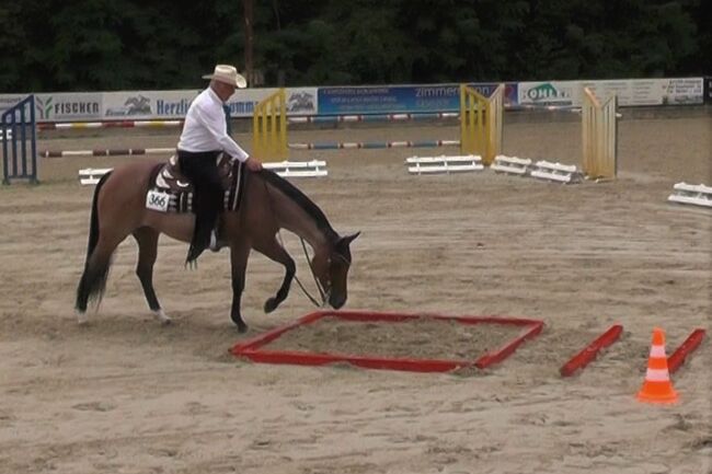 Gut gerittene QH Stute mit viel Potential, Kerstin Rehbehn (Pferdemarketing Ost), Horses For Sale, Nienburg, Image 4