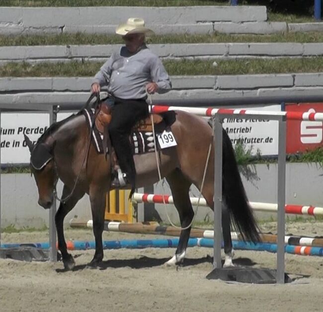 Gut gerittene QH Stute mit viel Potential, Kerstin Rehbehn (Pferdemarketing Ost), Horses For Sale, Nienburg, Image 5