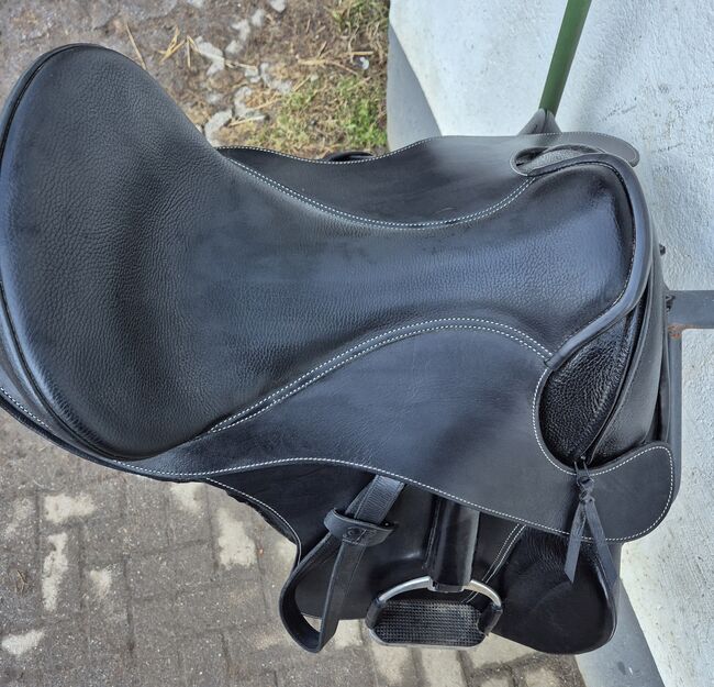 Wellington von Barefoot, Barefoot Wellington , Groos, Dressage Saddle, Herborn, Image 3