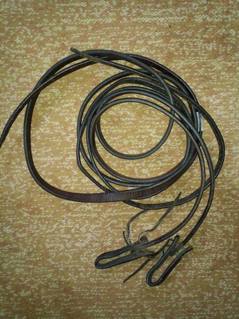Arbeitszügel, Christina Eggert, Bridles & Headstalls, Varel