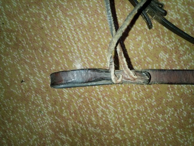 Arbeitszügel, Christina Eggert, Bridles & Headstalls, Varel, Image 2