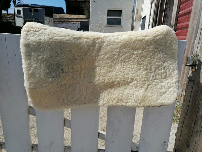 Werner Christ Pad, Werner Christ , Maren Groß , Western Pads, Bad Rodach, Image 2