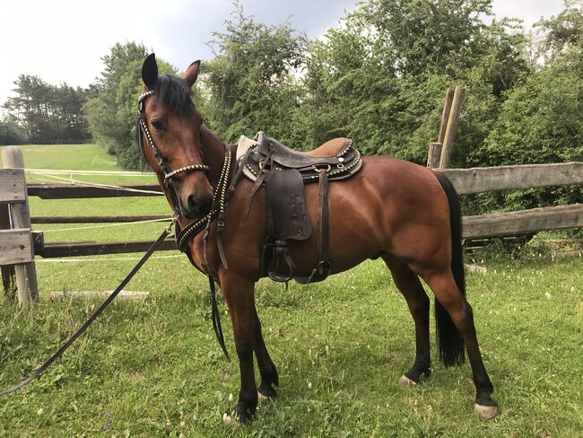 Western - Austral Sattel - fast neu - Einzel-Hand-Anfertigung, Austral, Ira, Western Saddle, Weil der Stadt, Image 3