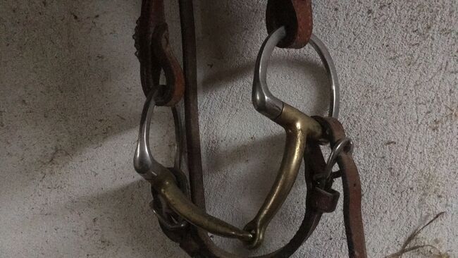 Einfachgebrochenes Westerngebiss mit D-Ringen, Sanaffle Bit, Carina Schmid , Horse Bits, Weistrach 