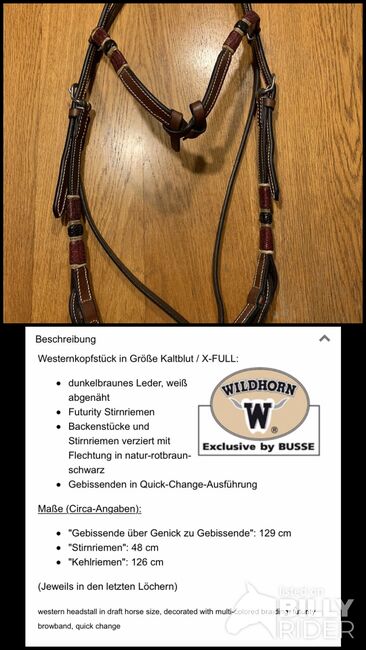 Western Kopfstück Kaltblut/X-Full, Wildhorn by Busse BADGER, Karo, Nosebands, Penzberg, Image 3