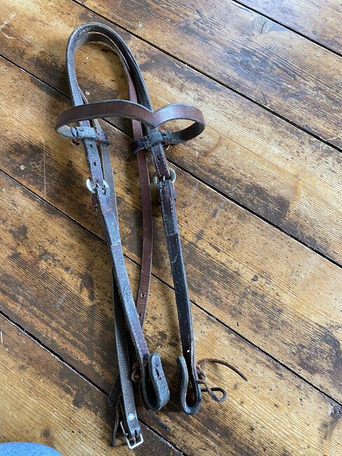 Western Zaumzeuge, Bea, Bridles & Headstalls, Meerbusch, Image 5