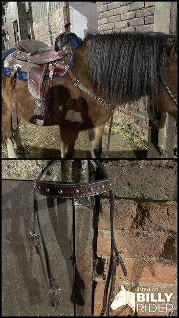 Western horse tack for sale, Georgina kingston , Westernsattel, Hull, Abbildung 3