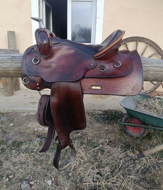 Sella western podium, Podium  Western, Giulia, Western Saddle, Chieri