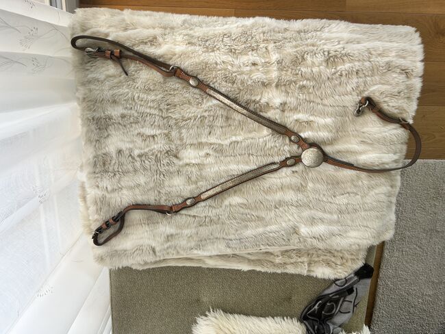 Western Riding Brustgeschirr mit Silber, Pia Eichholzer, Saddle Accessories, Horriwil, Image 3