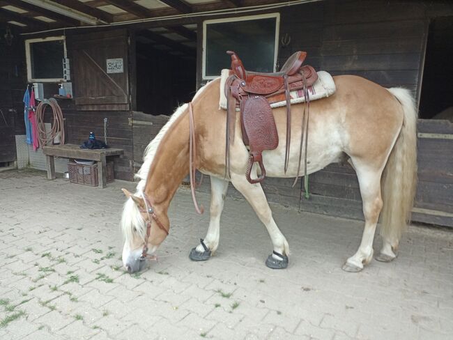 Westernsattel 63cm, Sitzfläche 40cm Sattel Western Pferd Tinker, M. Wegner , Western Saddle, Hilden, Image 6