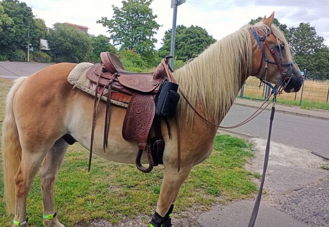 Westernsattel 63cm, Sitzfläche 40cm Sattel Western Pferd Tinker, M. Wegner , Western Saddle, Hilden, Image 11