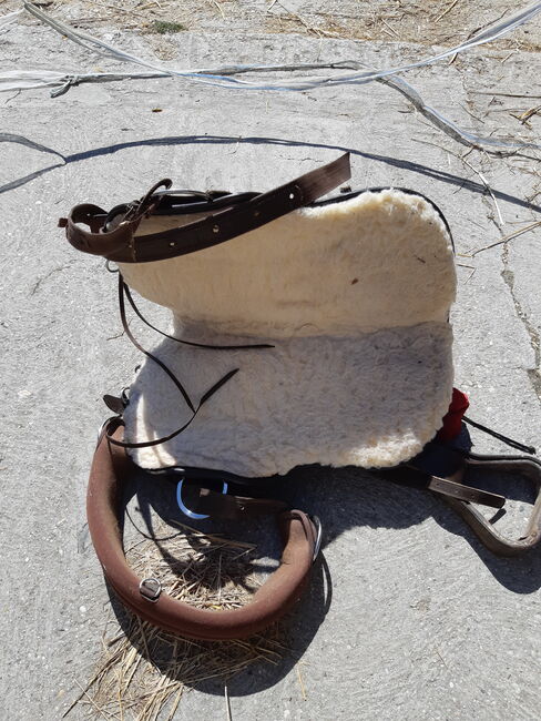 Westernsattel, Barefoot Arizona, Hinterberger Michaela, Western Saddle, Wilhering, Image 2