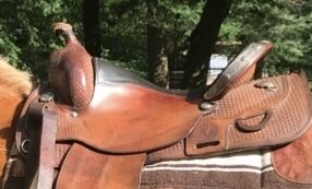 Westernsattel Circle Y, CircleY  Reining, Karin, Western Saddle, Schneverdingen , Image 4
