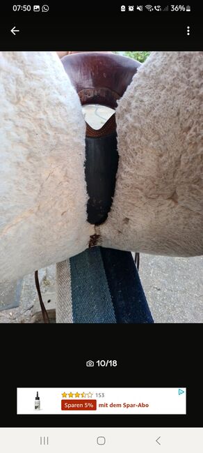 Westernsattel Continental Roundskirt + 2x Pads, Continental , Sina, Western Saddle, Dingolfing, Image 7