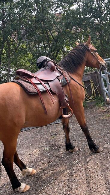 Westernsattel Deuber & Partner, Deuber & Partner, Sarah, Saddles & Saddle Accessories, Freiburg, Image 14