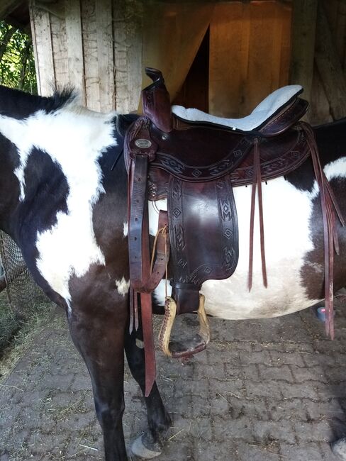 Westernsattel Deuber & Partner Trail Rider 1031 K02 mit Apache Punzierung, DEUBER & Partner  Trail Rider, ANGELA , Western Saddle, Tiefenbach, Image 8