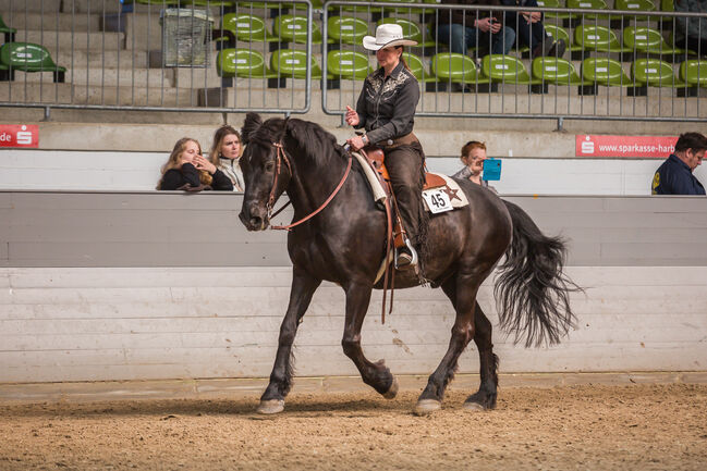 Westernsattel für breite Pferde zu verkaufen, EE Saddlery + Tack, Jutta Bunk, Western Saddle, Welle