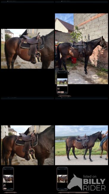 Westernsattel Freemax  Büffelleder (inkl. Pad und Sattelgurt), Freemax, Katharina Schwarz , Western Saddle, Darmstadt , Image 8
