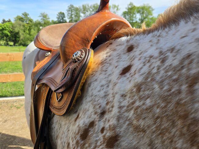 Western Sattel Western Imports Roudskirt kurz Semi Quarter Westernsattel, Western Imports  Roudskirt , Nicole Baumgärtel , Western Saddle, Ronneburg , Image 18