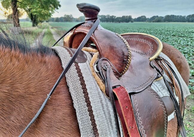 Westernsattel, MC Clintook USA, Nicole, Western Saddle, Lassan, Image 4