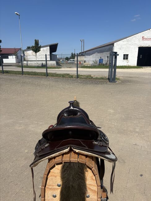 Westernsattel RPS Saddle Shop, RPS saddle shop Westernsattel, Franziska Minder, Western Saddle, Nördlingen, Image 5