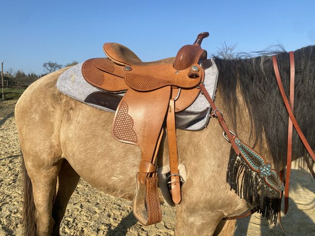 Westernsattel, Melly, Western Saddle, Frankfurt 