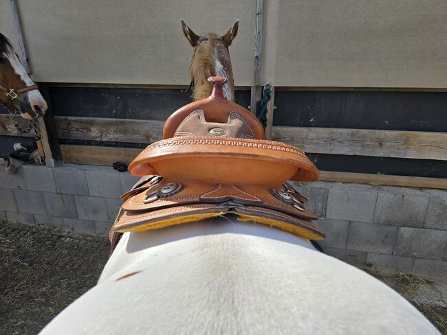 Western Sattel Westen Imports Roudskirt Semi Quarter Westernsattel, Western Imports  Roudskirt , Nicole Baumgärtel , Western Saddle, Ronneburg , Image 19