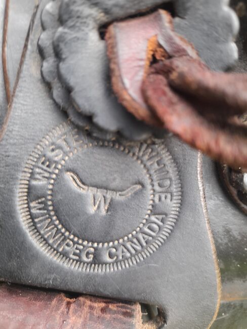 Westernsattel Winnipeg Rawhide Kanada 16 Zoll schmale Pferde, Winnipeg Rawhide, Vanessa Müller , Western Saddle, Salzwedel OT Eversdorf, Image 9