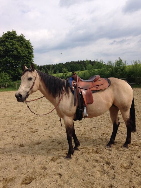 Westernsattel Am superior, Gomeier Am superior , Wiedemann Nicole, Western Saddle, Aichach, Image 14