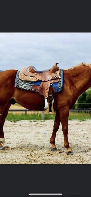 Westernsattel, CR California Ranch , Naomi Rettenbacher, Western Saddle, Oberalm/Salzburg , Image 3