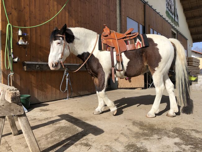 Westernsattel für kurze Rücken, Sara Krupper, Western Saddle, Starnberg, Image 3