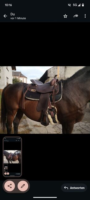 Westernsattel Freemax  Büffelleder (inkl. Pad und Sattelgurt), Freemax, Katharina Schwarz , Western Saddle, Darmstadt , Image 6