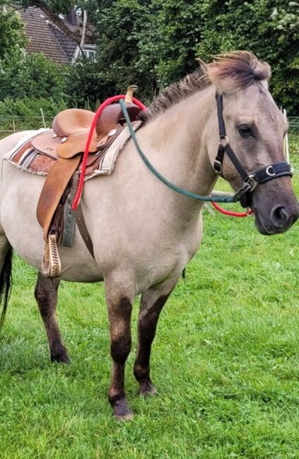 Westernsattel Mustang, Mustang, Frederike , Western Saddle, Büdelsdorf, Image 8