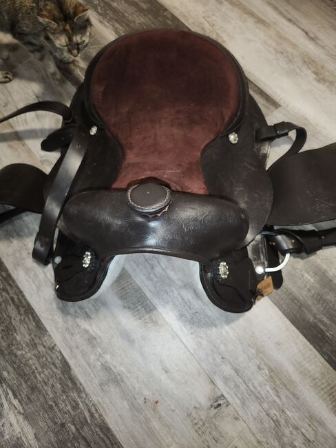 Westernsattel, Lilly , Western Saddle, Friedeburg , Image 3