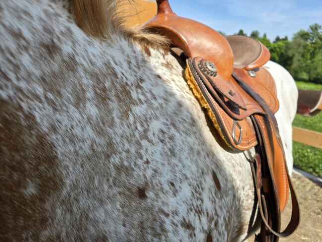 Western Sattel Westen Imports Roudskirt Semi Quarter Westernsattel, Western Imports  Roudskirt , Nicole Baumgärtel , Westernsattel, Ronneburg , Abbildung 18